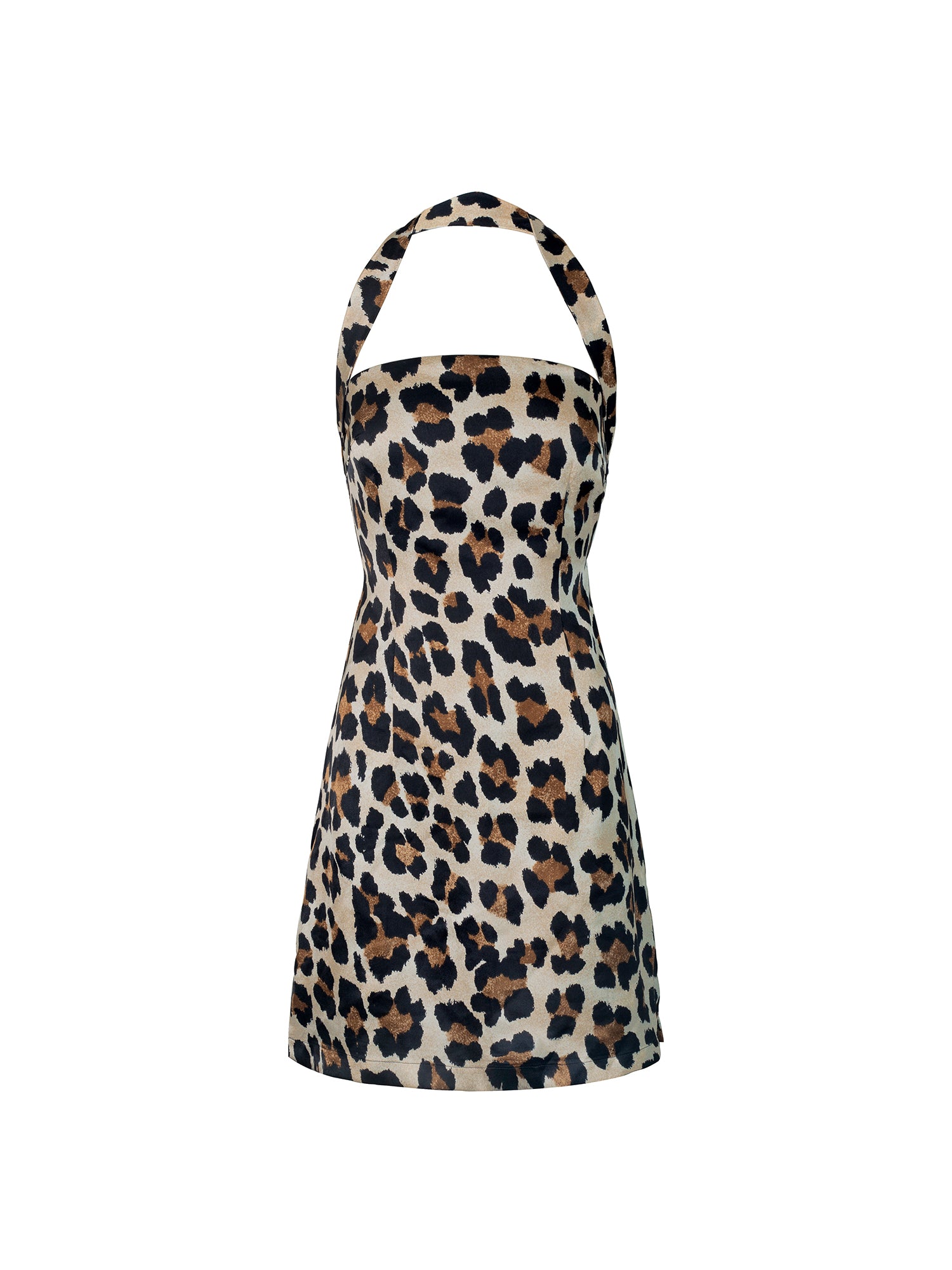 Leopard Mini Dress