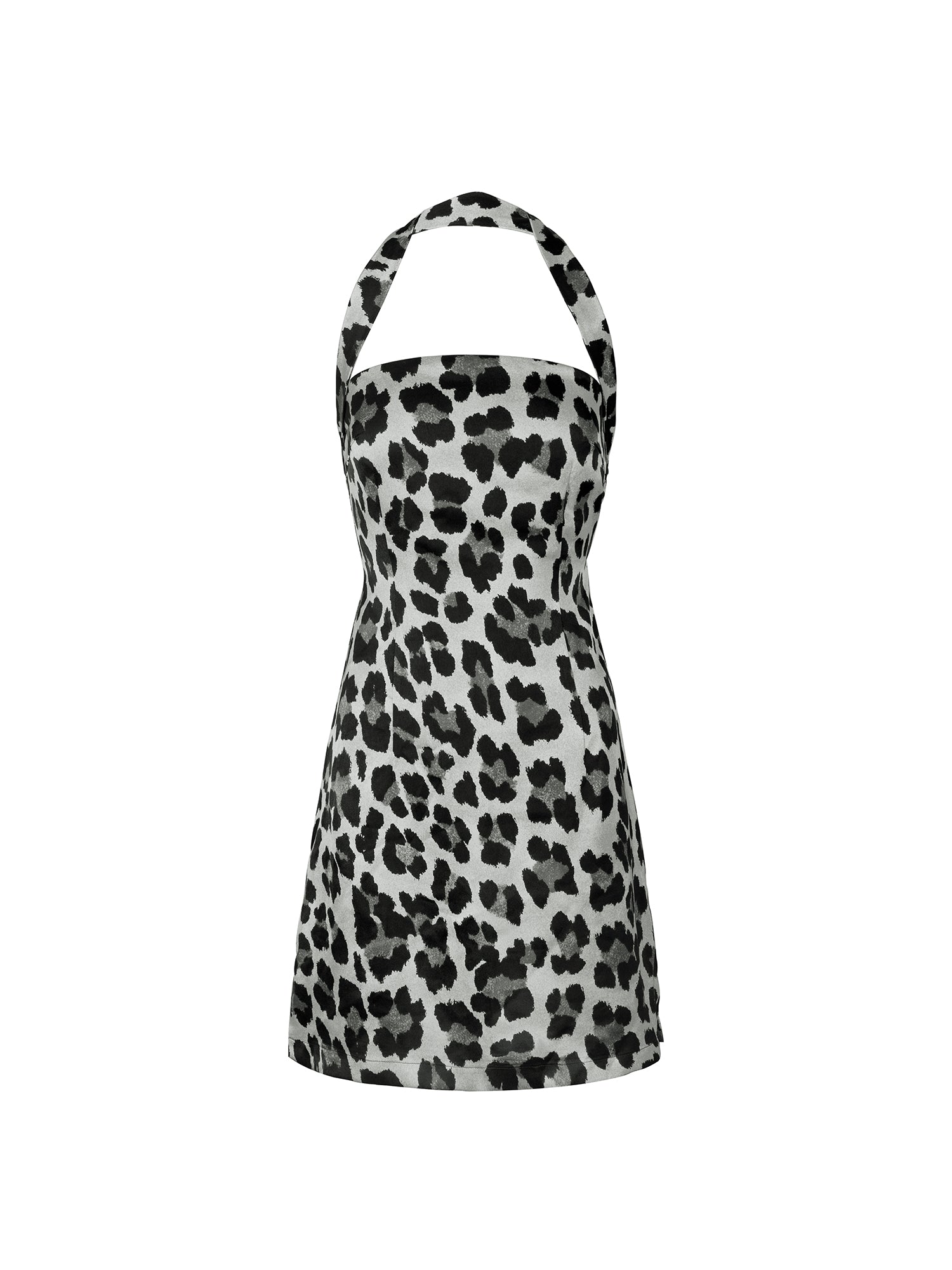 Leopard Mini Dress
